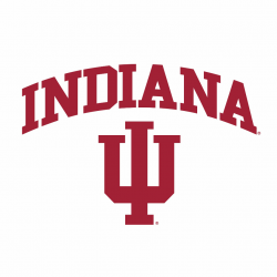 Indiana University Hoosiers Arch Logo Next Level Tee - White