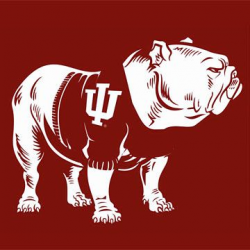 Ox the bulldog, IU football\'s mascot from 1959-1965. This ...