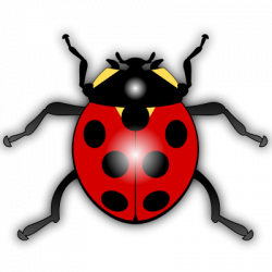 Insects clipart image - Clipartix
