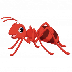 Insects clipart ant, Insects ant Transparent FREE for ...