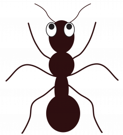 Ant clipart free images | Cute drawings, Pet rocks, Drawings