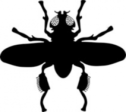 Insect Clipart Black And White | Free download best Insect ...
