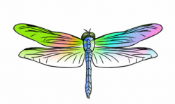 Free Free Dragonfly Clipart, Download Free Clip Art, Free ...