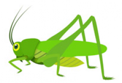 Search Results for grasshopper - Clip Art - Pictures ...