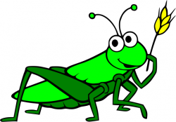 Grasshopper clipart images free 3 - WikiClipArt