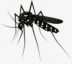 Mosquito Cartoon clipart - Illustration, Wing, Line ...