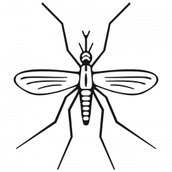Free Clipart: Mosquito | rewarriner