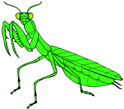 Praying Mantis Clip Art Free | Clipart Panda - Free Clipart ...
