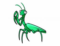 Praying Mantis Clipart - Praying Mantis Clipart Png ...