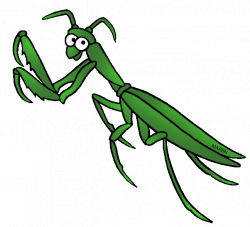 Free Praying Mantis Clipart, Download Free Clip Art, Free ...