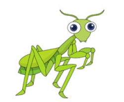 Free Mantis Cliparts, Download Free Clip Art, Free Clip Art ...