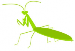 praying mantis clip art 13 436x300 | Clip art, Praying ...