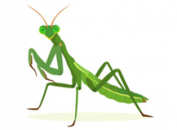 Free Insect Clipart - Clip Art Pictures - Graphics ...