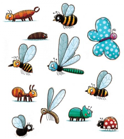 fdaenen | The Little Chimp Society | Activities | Insects ...