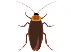 Free Insect Clipart - Clip Art Pictures - Graphics ...