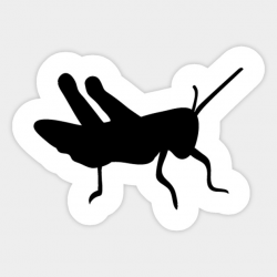 Cricket Bug Insect Silhouette