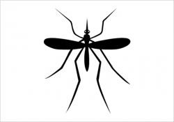 Mosquito insects silhouette silhouette graphics clipart ...