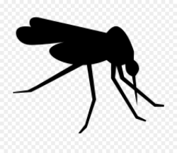 Free Mosquito Silhouette Png, Download Free Clip Art, Free ...