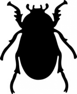 Bug clipart silhouette, Bug silhouette Transparent FREE for ...
