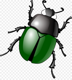 Leaf Fly clipart - Leaf, Ladybird, Graphics, transparent ...
