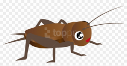 Free Png Cricket Insect Clipart Png Images Transparent ...