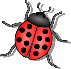 Free Insects Cliparts, Download Free Clip Art, Free Clip Art ...