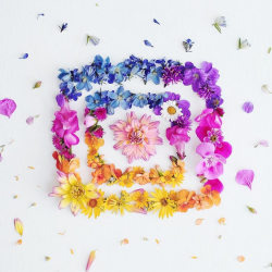 creatives share artistic interpretations of instagram\'s new logo