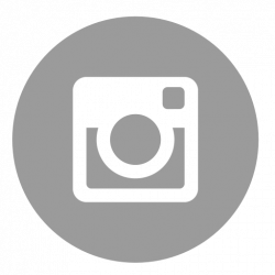 instagram-icon-grey.3cf404e5 - Beer Institute