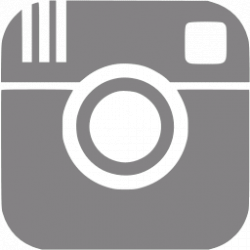 Gray instagram icon - Free gray social icons