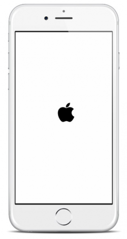 iPad & iPhone Stuck on Apple Logo (Fixed in 5 Ways)