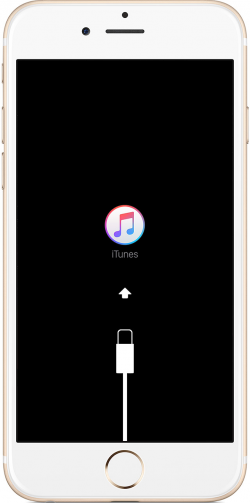 Can\'t Restore/Update iPod touch 6 - Apple Community