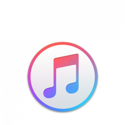 Official Apple Support | Apple music streaming, Apple music ...