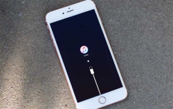 iPhone 6 Stuck In iTunes Logo Issue