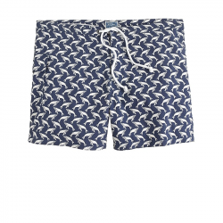 J.Crew: 5 Portofino Trunks In Whale Diamond