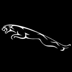 Details about Jaguar Logo Vinyl Decal Car Emblem Badge X S F type XK XJL