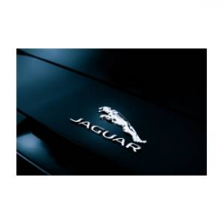 Jaguar Logo