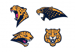 Jaguar Vector - Download Free Vectors, Clipart Graphics ...