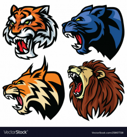 Wild animals heads set lion tiger jaguar lynx