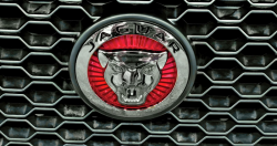 Jaguar Cars Emblem V2