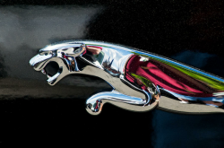 Jaguar Car Emblem