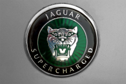 Jaguar logo | Pieter van Marion | Flickr