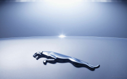 Exclusive Jaguar Logo Car Wallpaper HD Widescreen For Your ...