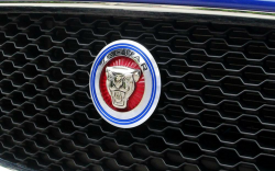 Red or Blue Aluminum Surrounding Decoration Ring Trim For Jaguar F-Pace XE  XF XJ Front Grille Feline Emblem
