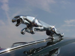 Jaguar X-Type | Jaguar x, Jaguar car symbol, Jaguar car logo