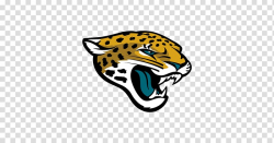 Jacksonville Jaguars NFL Super Bowl New England Patriots AFC ...