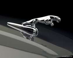 Jaguar Logo wallpaper | 1280x1024 | #27743