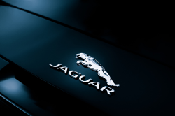 Wallpaper Jaguar Logo Emblem F-Type Convertible rear badge Cars