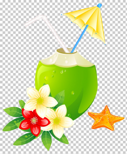 Summer Exotic Coctail , coconut juice illustration PNG ...