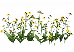 Free June Cliparts Graphics, Download Free Clip Art, Free Clip Art ...