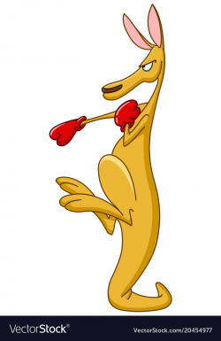 Boxing kangaroo